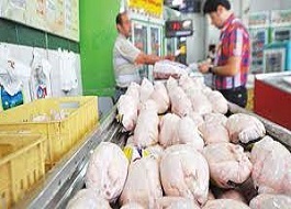 هرکیلو مرغ ۱۷۵۰۰ تا ۱۸هزار تومان است/ افزایش قیمت مرغ ارتباطی با کشتن جوجه یک روزه ندارد/ کاهش تقاضای خرید مرغ در بازار