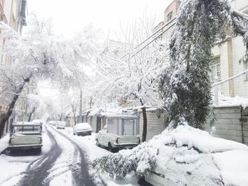 سقوط درخت روی یک خودرو به‌دلیل بارش برف در افسریه تهران