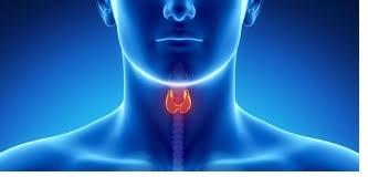 ۱۰ خطر پنهان تیروئید ۱۰ خطر پنهان تیروئید