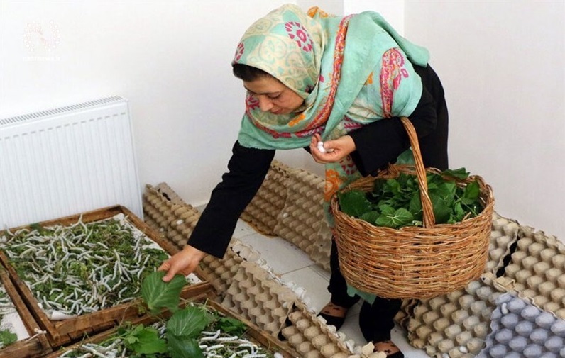صدور بیش از ۲۶۶ هزار مجوز مشاغل خانگی در استان تهران صدور بیش از ۲۶۶ هزار مجوز مشاغل خانگی در استان تهران