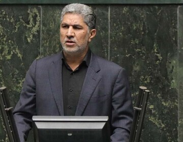 ۳ درصد از صندوق توسعه ملی به طرح‌های کشاورزی اختصاص یافت