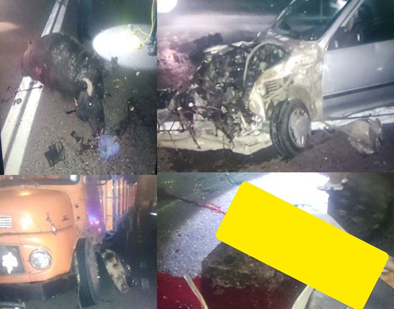 رهاسازی دام عامل تصادف مرگبار در جاده سنگر/مرگ راننده پراید بر اثر برخورد با گاومیش در گیلان رهاسازی دام عامل تصادف مرگبار در جاده سنگر/مرگ راننده پراید بر اثر برخورد با گاومیش در گیلان