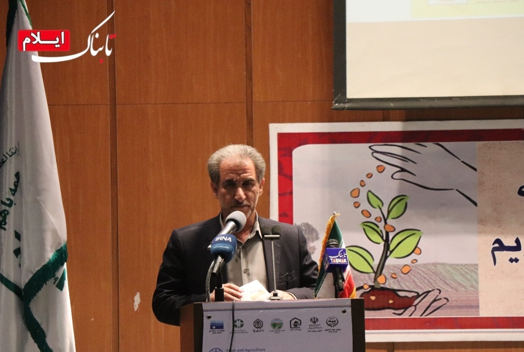 توسعه ۵۰۰ هکتار باغ در اراضی شیبدار ایلام/ کشاورزی حفاظتی راهی برای کاهش هزینهها است توسعه ۵۰۰ هکتار باغ در اراضی شیبدار ایلام/ کشاورزی حفاظتی راهی برای کاهش هزینهها است