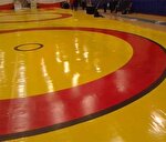 محرومیت‌های سنگین در انتظار خاطیان و عوامل درگیری در سالن کشتی نهاوند