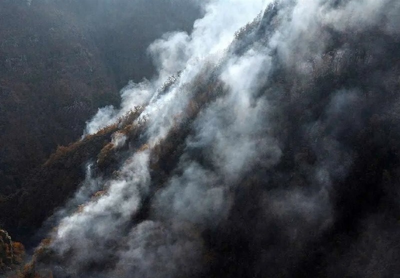 ورود به جنگلهای هیرکانی، زاگرس و ارسباران تا بارش مؤثر ممنوع شد ورود به جنگلهای هیرکانی، زاگرس و ارسباران تا بارش مؤثر ممنوع شد